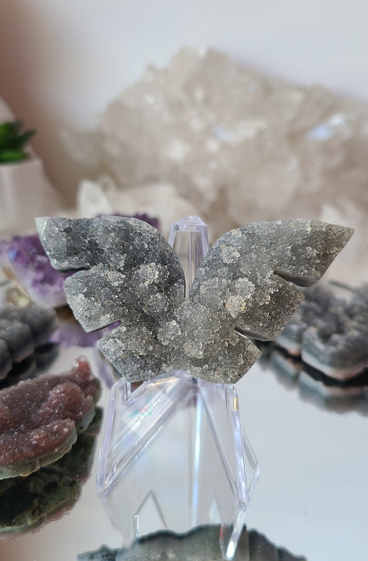 Black Amethyst Cluster Wings (D)