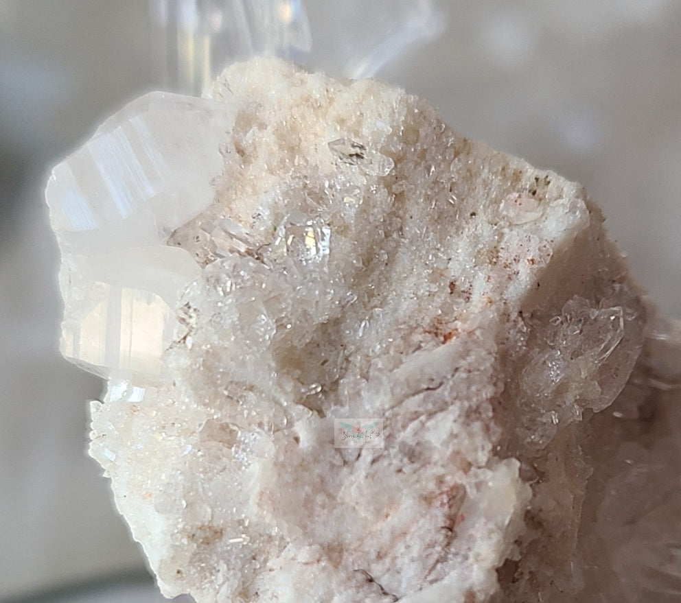 Pink Himalayan Quartz Cluster (AAA)