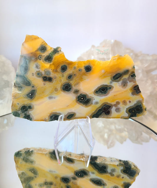 Sunny Yellow 1st Vein Ocean Jasper Slab (Rare)