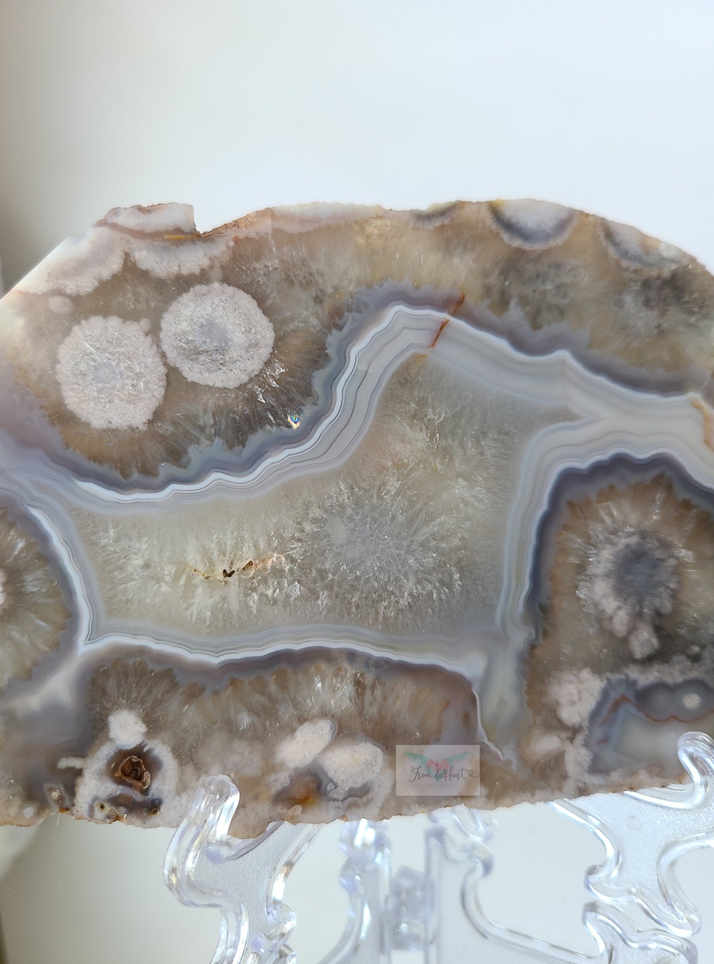 Chlorite Quartz Flower Agate Slab (C) (Rare Find)