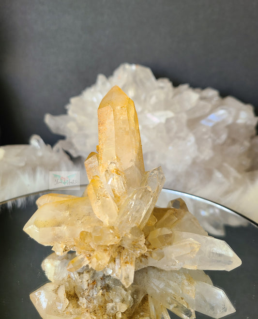 Limonite Quartz: Dendritic Golden Healer Cluster (A)