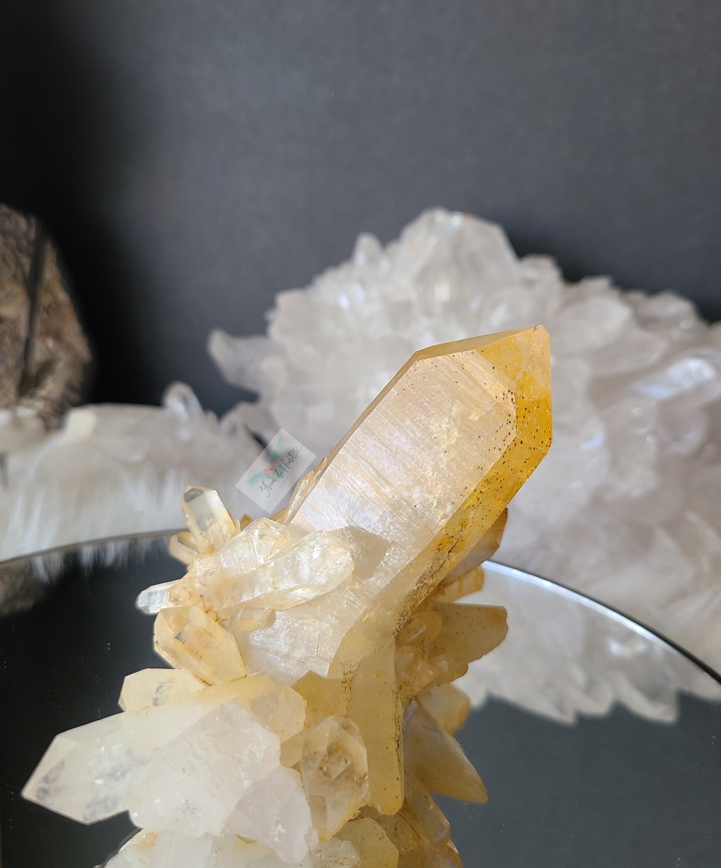 Limonite Quartz: Dendritic Golden Healer Cluster (A)