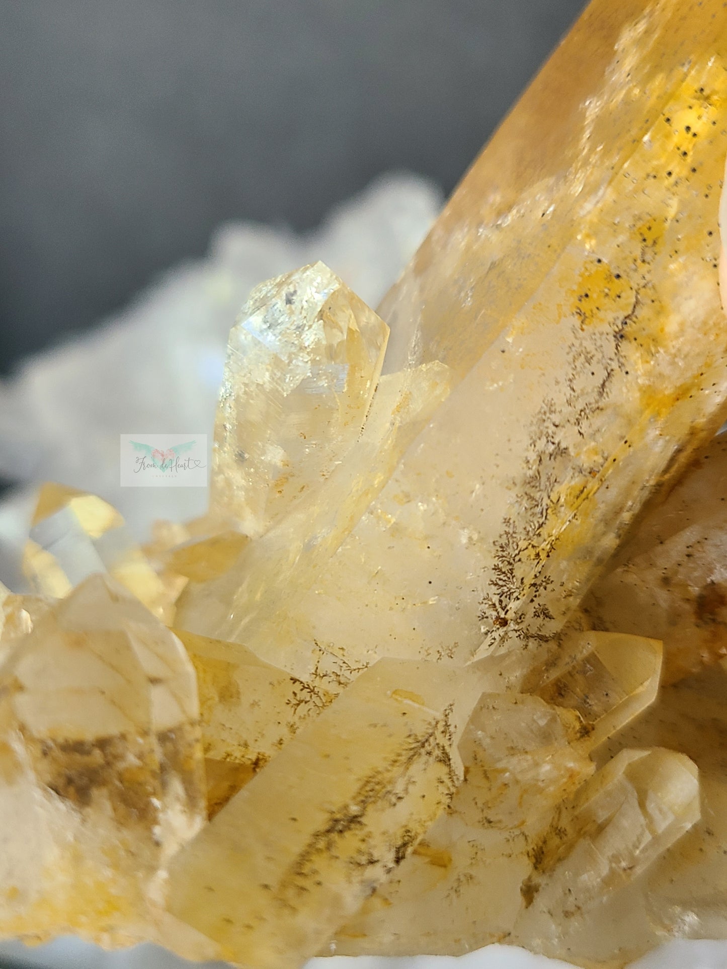 Limonite Quartz: Dendritic Golden Healer Cluster (A)